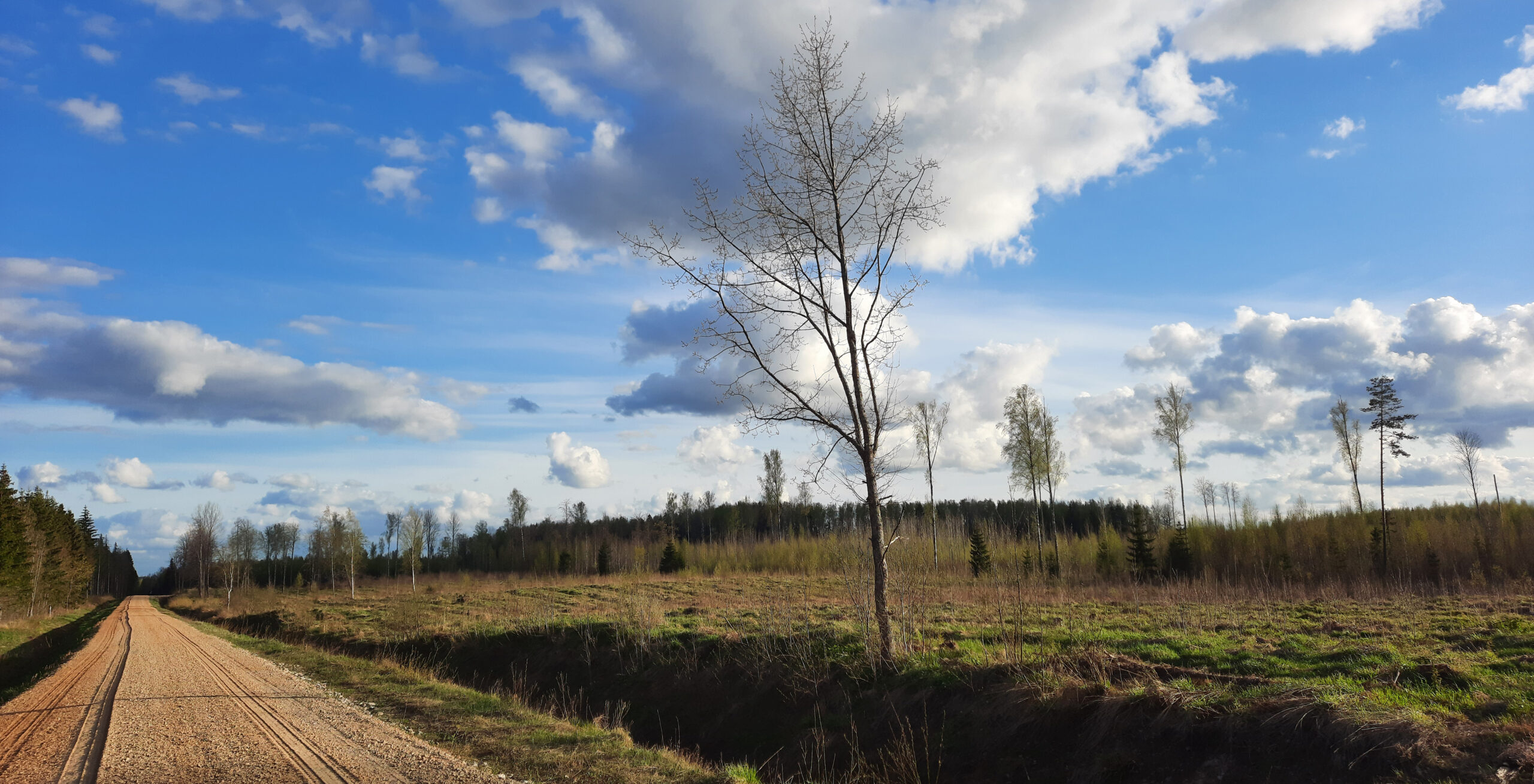 Eesti ja Venemaa piiri ääres rattaga peremehetsemas